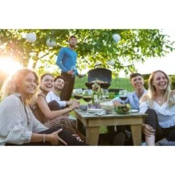 Napoleon Gasgrill TravelQ TQ285 Mit 2 Brennern & Klappbarem Wagen Schwarz -Küchengrill 1 1104 TQ285X 03 Lifestyle