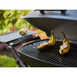 Weber Gasgrill Q 2200 Mit 1 Brenner Und Standgestell Schwarz 10 Weber Gasgrill Q 2200 Mit 1 Brenner Und Standgestell Schwarz -Küchengrill 2567618 A03