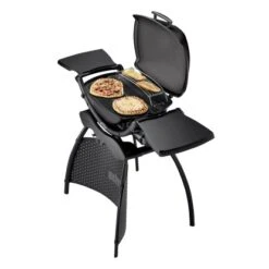 Weber Gasgrill Q 2200 Mit 1 Brenner Und Standgestell Schwarz 9 Weber Gasgrill Q 2200 Mit 1 Brenner Und Standgestell Schwarz -Küchengrill 2567618 S02
