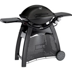 Weber Gasgrill Q 3000 Schwarz Mit 2 Brennern