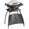 Weber Stand-Gasgrill Q1000 Mit 1 Brenner