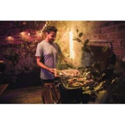 Campingaz Tischgrill Attitude 2100 EX 24 Campingaz Tischgrill Attitude 2100 EX -Küchengrill 9519000 2119 6