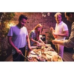 Campingaz Tischgrill Attitude 2100 EX 25 Campingaz Tischgrill Attitude 2100 EX -Küchengrill 9519000 2119 7